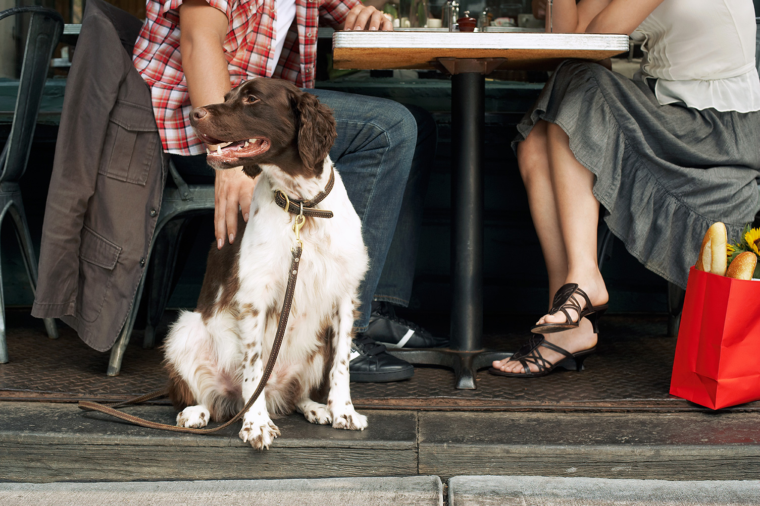 Dog-friendly restaurants Charleston SC area